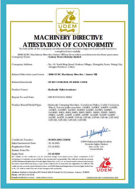 चीन Galaxy power industry limited प्रमाणपत्र
